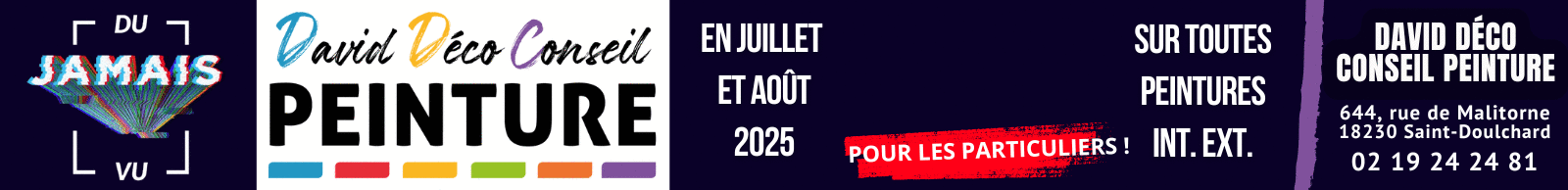 David Déco Conseil Peinture SIKKENS Bourges 2024